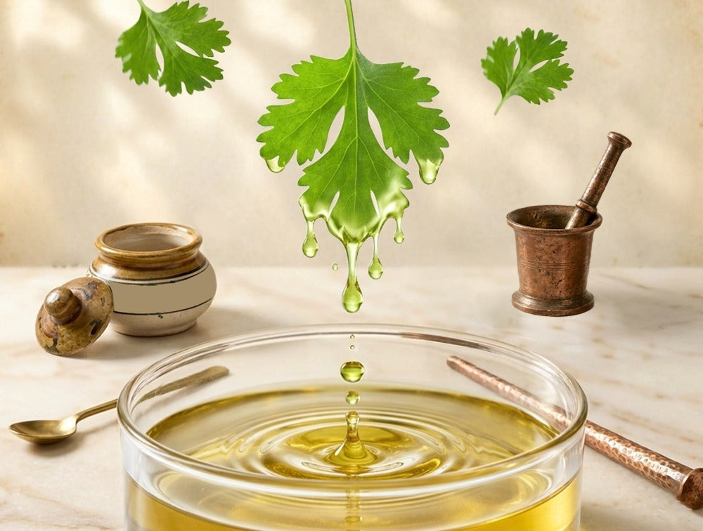Lightweight moisturizer with coriander extract for everyday hydration