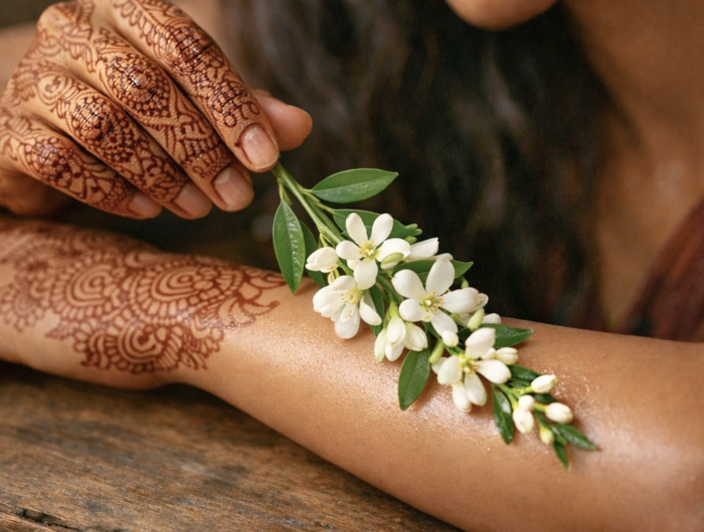 Why Dipsy Chose Neroli: The Ingredient Science and Tradition Agree On