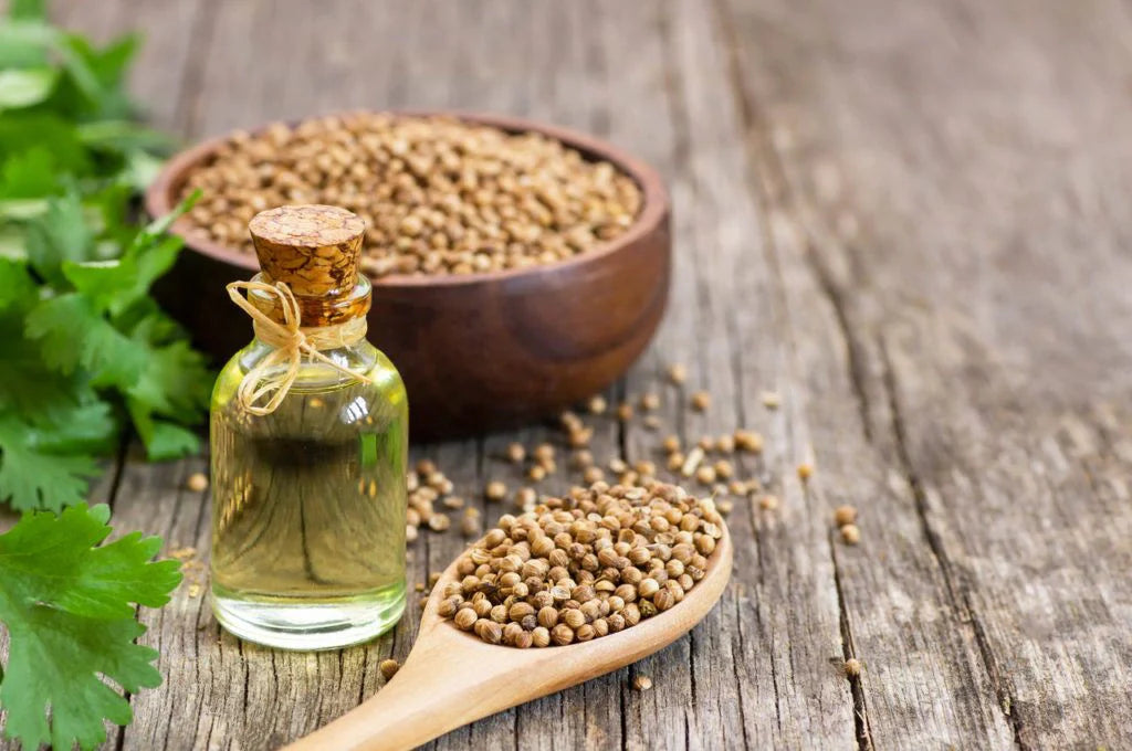  coriander seed oil for skin