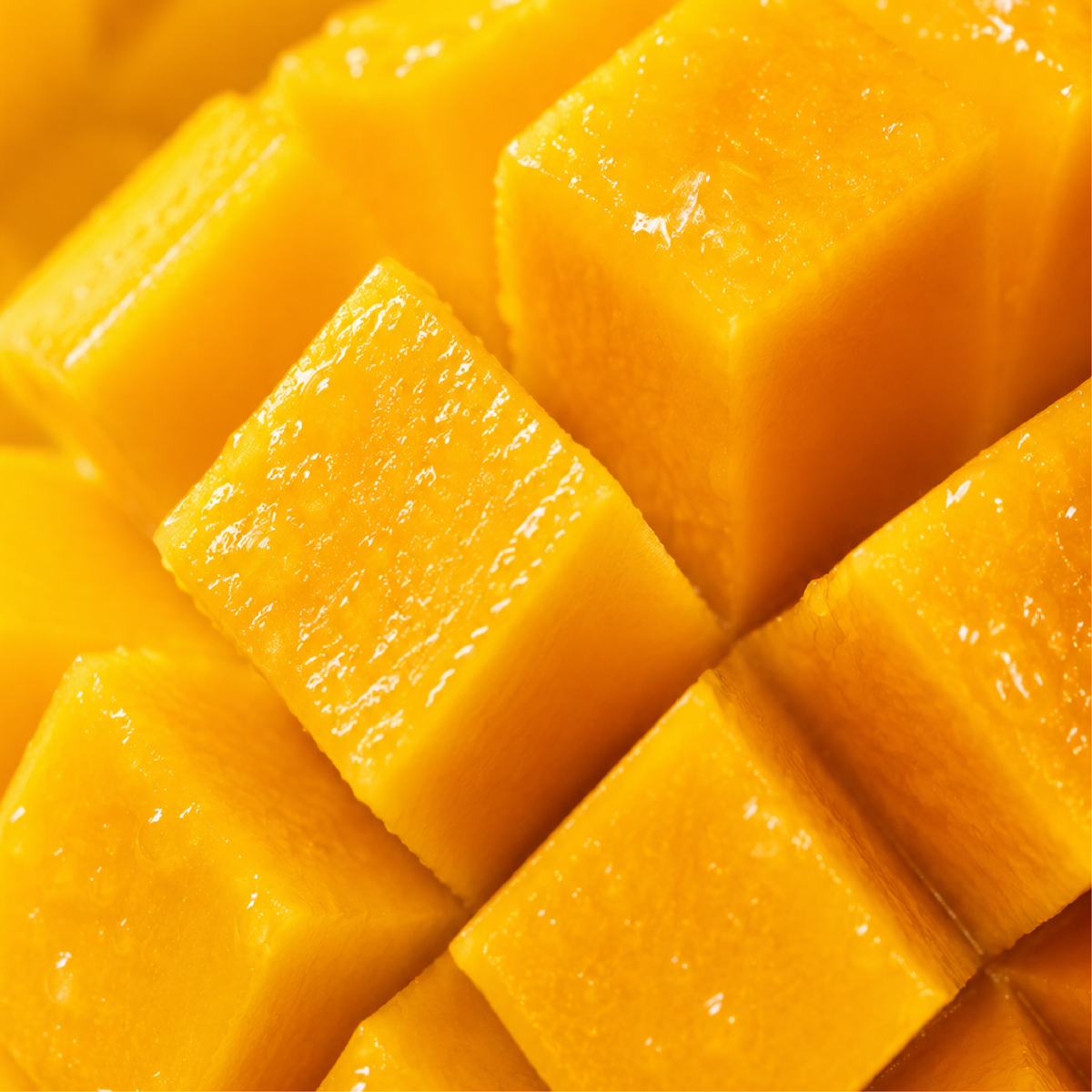 Mango butter, cold-pressed from mango kernels, used in Malli Malli