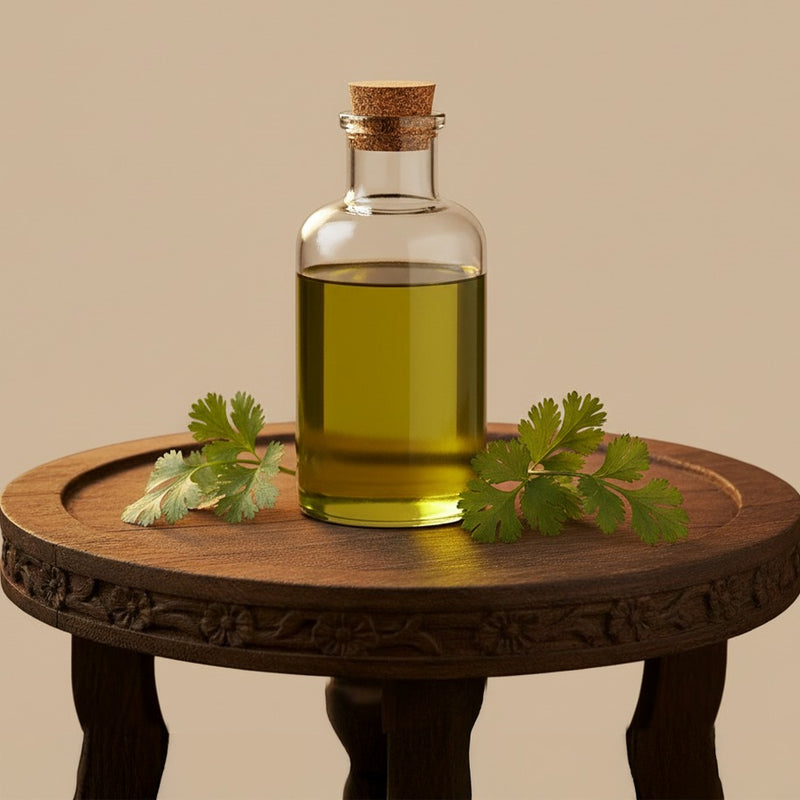 Coriander Essential Oil
